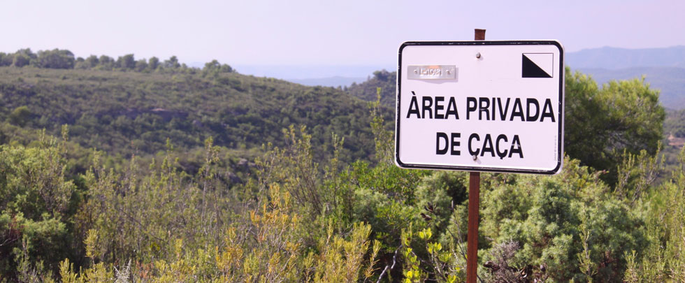 placa_coto
