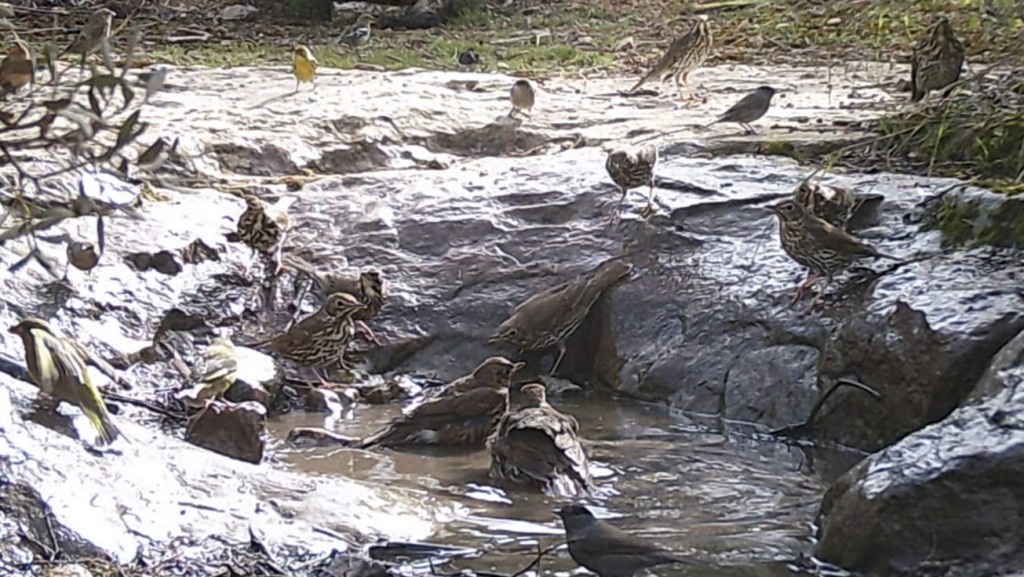 IMG-20251009-WA0005